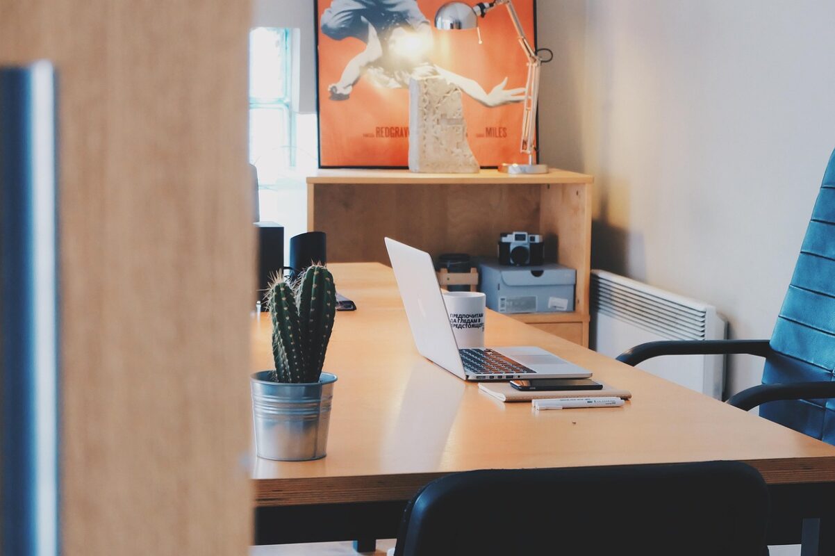 Mesh or padded: choosing a backrest for a full working day